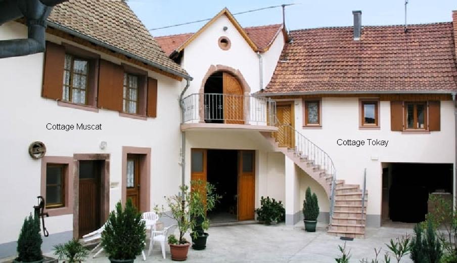 Gites Le Tokay Et Le Muscat Gertwiller 部屋 写真