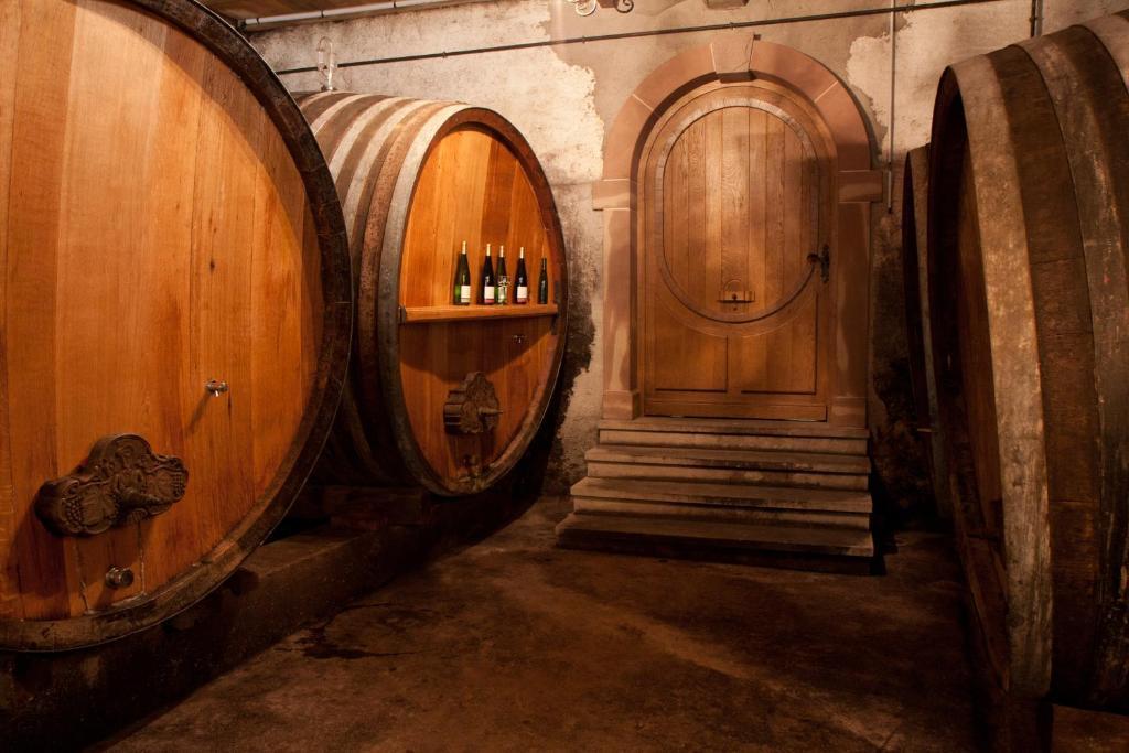 Gites Le Tokay Et Le Muscat Gertwiller 部屋 写真